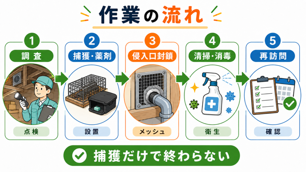 ネズミ駆除の調査、捕獲・薬剤、侵入口封鎖、清掃・消毒、再訪問までの作業工程を示した図