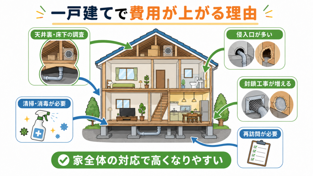 一戸建てのネズミ駆除費用が調査・侵入口封鎖・清掃・再訪問で高くなる理由の図